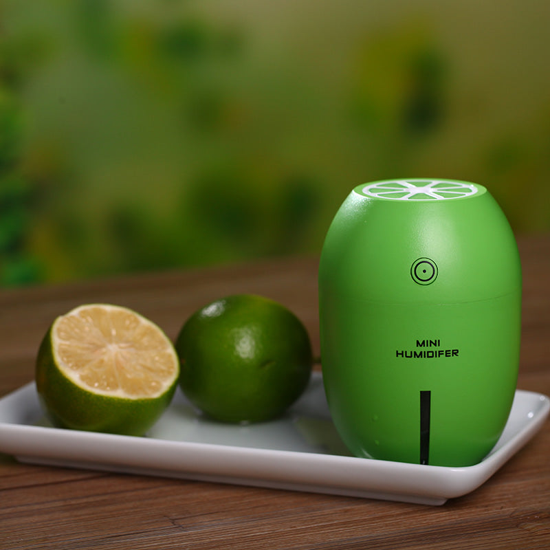 Aromatherapy Diffuser and Mist Maker
