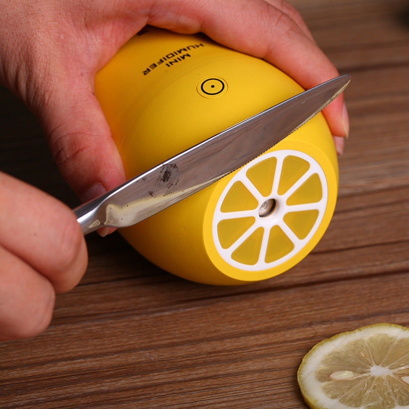 Aromatherapy Diffuser and Mist Maker