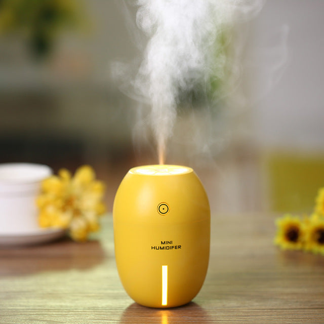 Aromatherapy Diffuser and Mist Maker